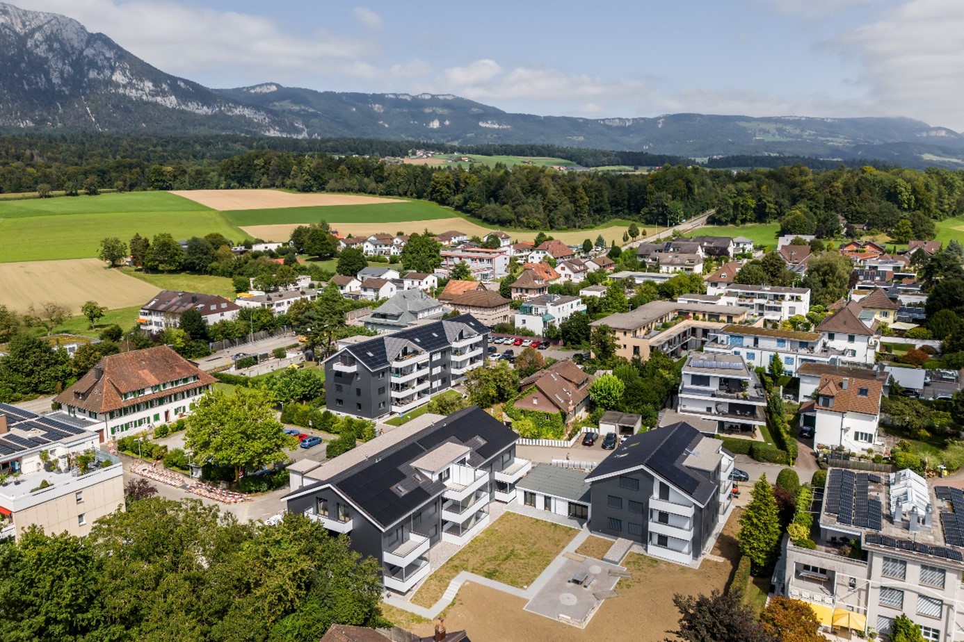 Feldbrunnen, Frank-Buchser-Strasse